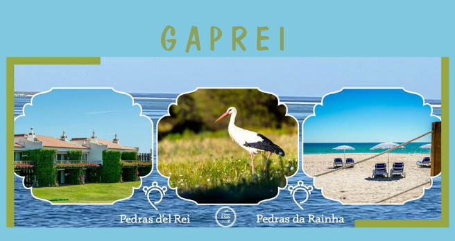 GAPRI logo